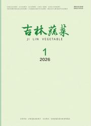 吉林蔬菜期刊封面