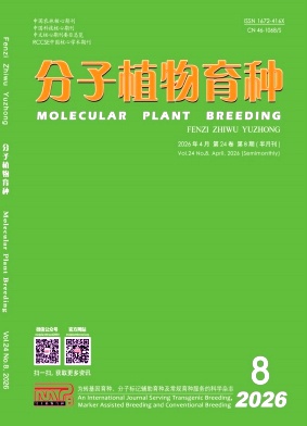 分子植物育种期刊封面