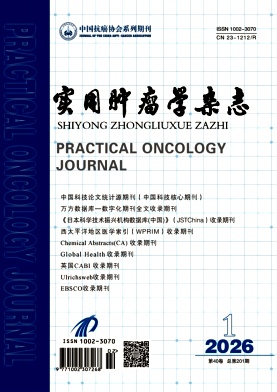 实用肿瘤学杂志期刊封面
