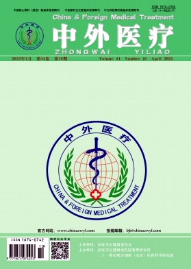 中外医疗期刊封面
