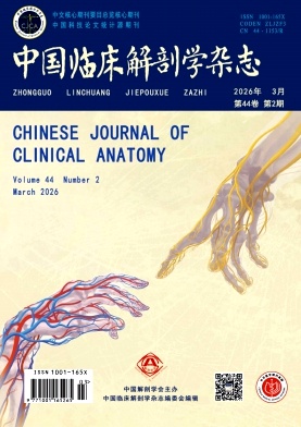 中国临床解剖学杂志期刊封面