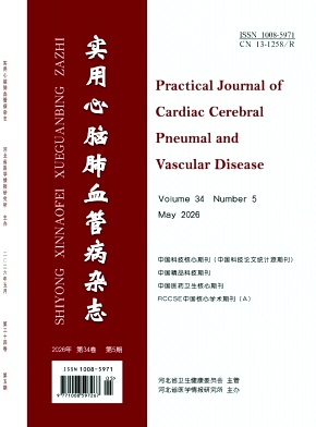 实用心脑肺血管病杂志期刊封面