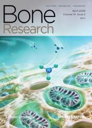 骨研究（英文版）期刊封面