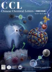 纳微快报（英文）期刊封面