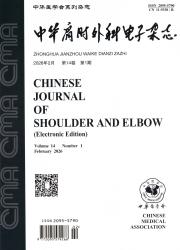 中华肩肘外科电子杂志期刊封面