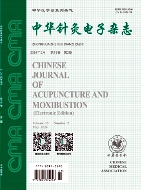 中华针灸电子杂志期刊封面