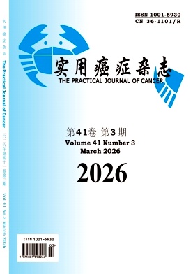 实用癌症杂志期刊封面