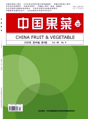 中国果菜期刊封面