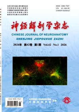 神经解剖学杂志期刊封面