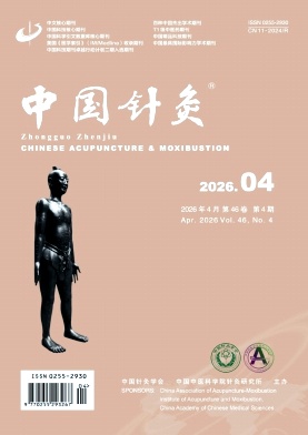 中国针灸期刊封面