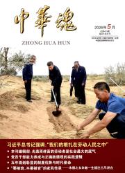 中华魂期刊封面