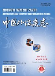 中医外治杂志期刊封面