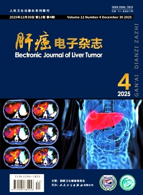 肝癌电子杂志期刊封面