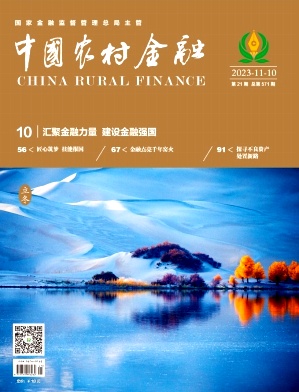 中国农村金融期刊封面