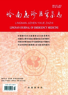 岭南急诊医学杂志期刊封面