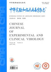 中华实验和临床病毒学杂志期刊封面