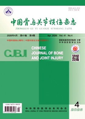 中国骨与关节损伤杂志期刊封面