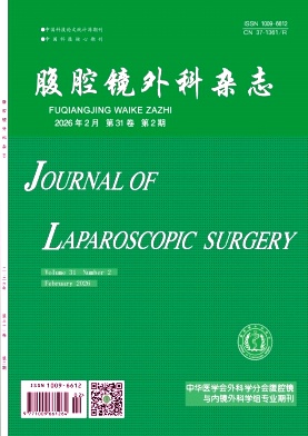 腹腔镜外科杂志期刊封面