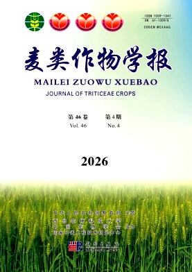 麦类作物学报期刊封面