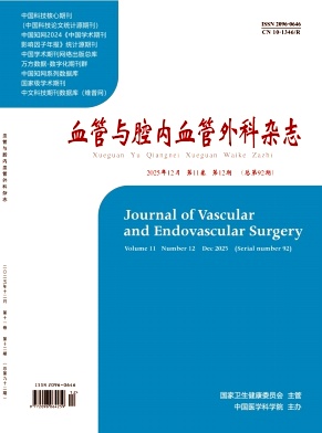 血管与腔内血管外科杂志期刊封面
