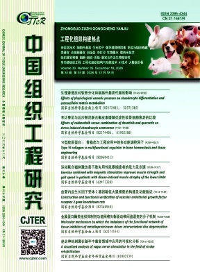 中国组织工程研究期刊封面