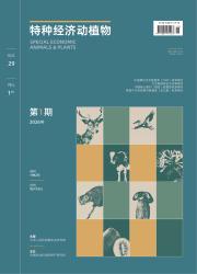 特种经济动植物期刊封面