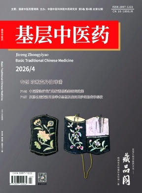 基层中医药期刊封面