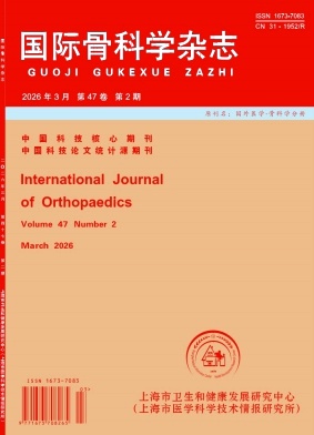 国际骨科学杂志期刊封面