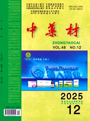 中药材期刊封面