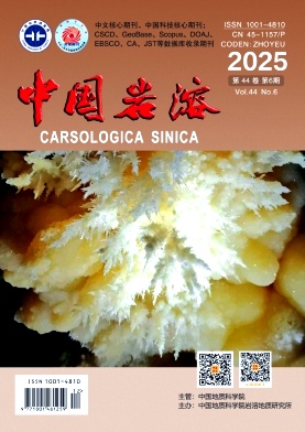 中国岩溶期刊封面