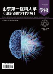山东第一医科大学(山东省医学科学院)学报期刊封面