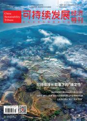 可持续发展经济导刊期刊封面