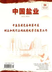 中国盐业期刊封面