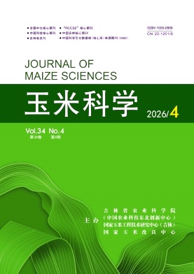 玉米科学期刊封面