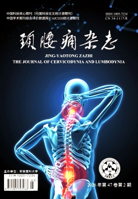颈腰痛杂志期刊封面
