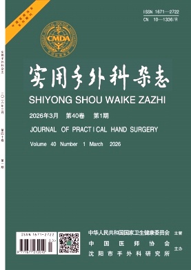 实用手外科杂志期刊封面