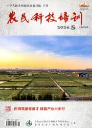 农民科技培训期刊封面