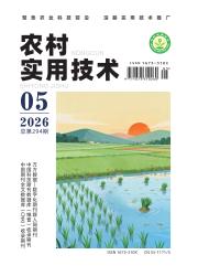 农村实用技术期刊封面