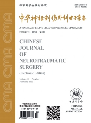 中华神经创伤外科电子杂志期刊封面