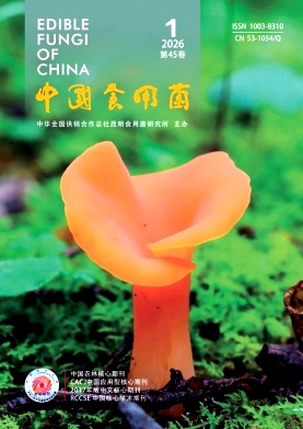 中国食用菌期刊封面