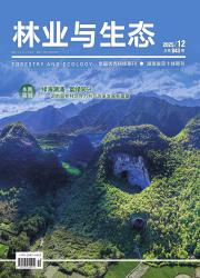 林业与生态期刊封面