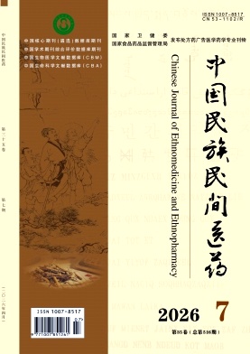 中国民族民间医药期刊封面