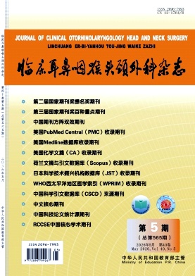 临床耳鼻咽喉头颈外科杂志期刊封面