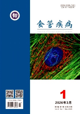 食管疾病期刊封面