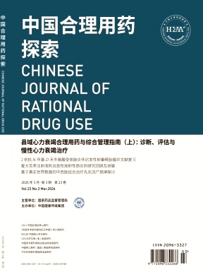 中国合理用药探索期刊封面