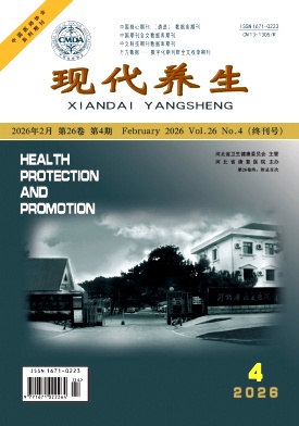 现代养生期刊封面