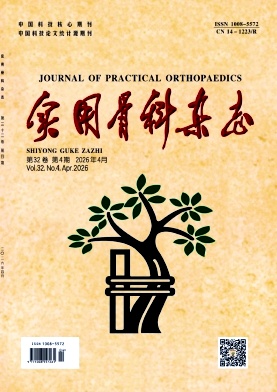 实用骨科杂志期刊封面