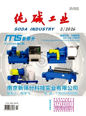 纯碱工业期刊封面
