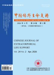 中国体外生命支持期刊封面