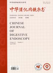 中华消化内镜杂志期刊封面